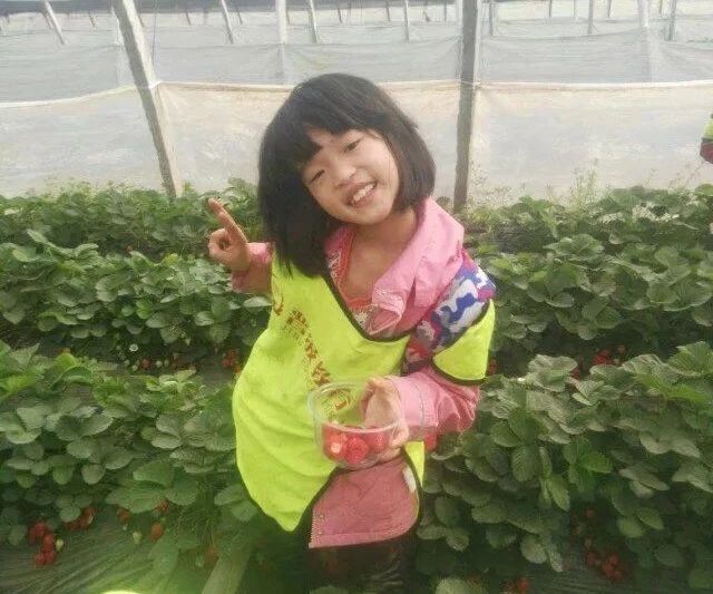 窦昆老师育女心得：爱上野外大课堂