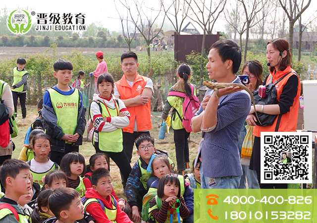 小学托管班不赚钱怎么办