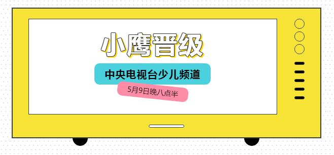 托教题材动画片《小鹰晋级》亮相中央电视台少儿频道晚黄金档