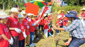 晋级托管校区招生方案之绿植领养活动