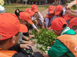 晋小鹰少儿礼仪课——培养中华好少年