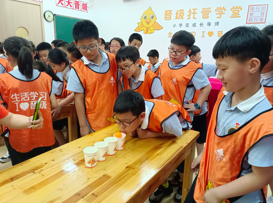 一套课程，撑起整个暑假 | 晋小鹰假期托管·全能版